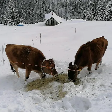 Berghof - Horska