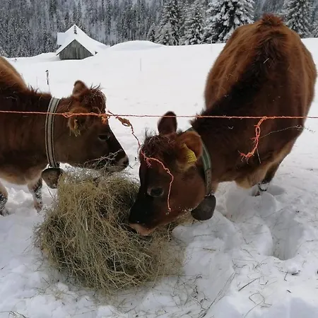 Lägenhet Berghof - Horska Pec pod Snezkou